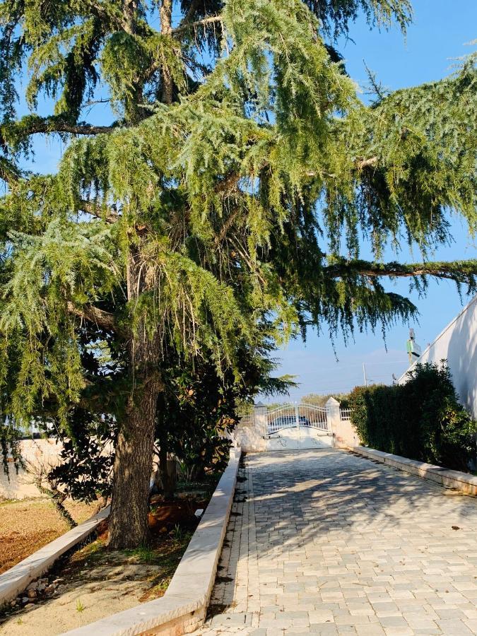 Trullo Labellavita Putignano Exterior foto